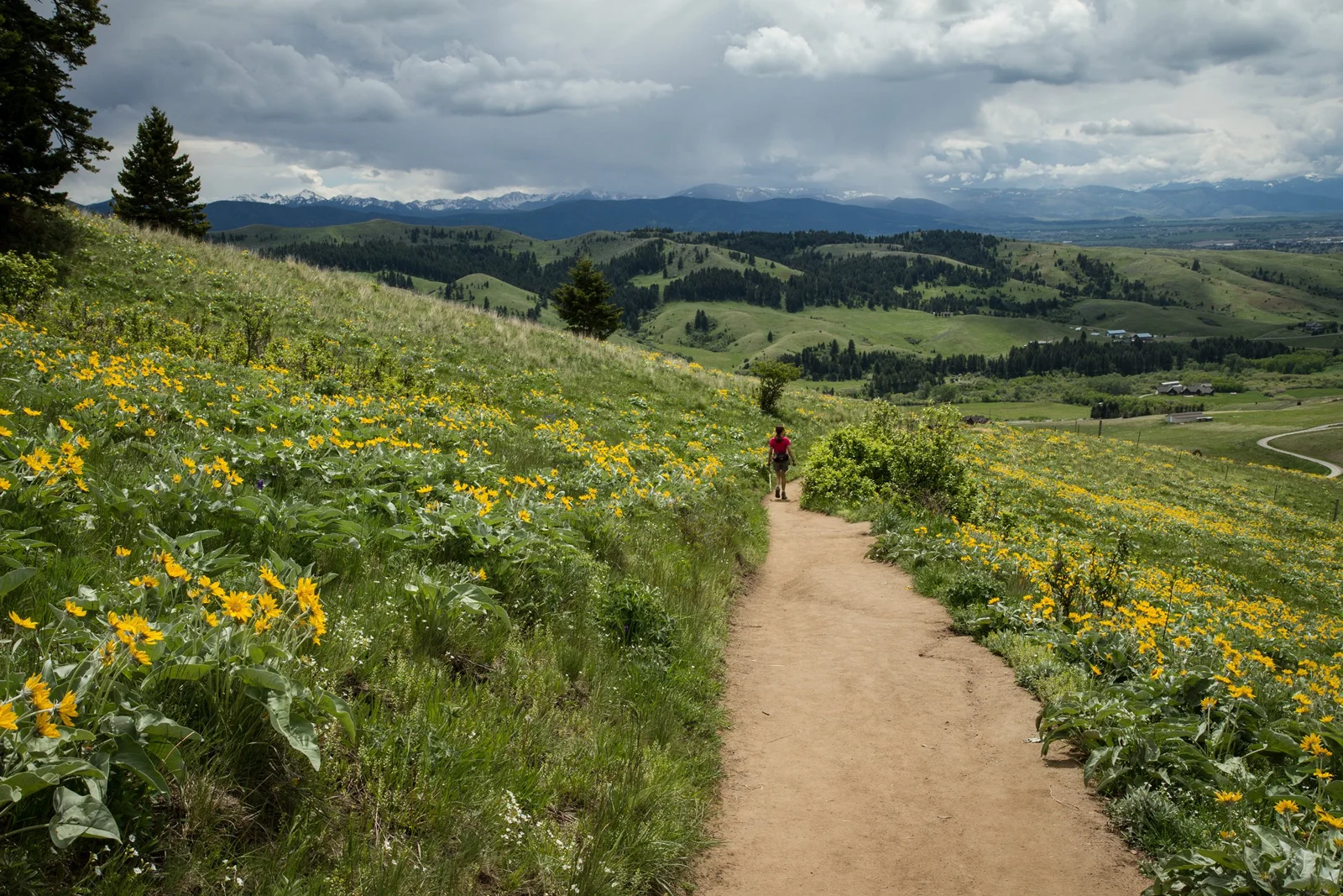 Hiking the M: A Bozeman View Worth the Climb